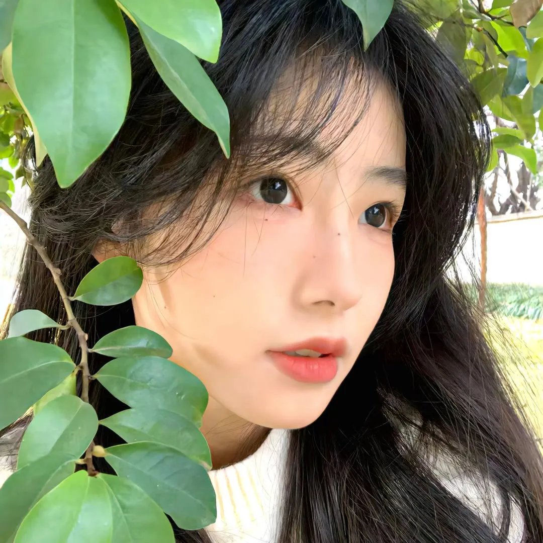 我家种大麻
